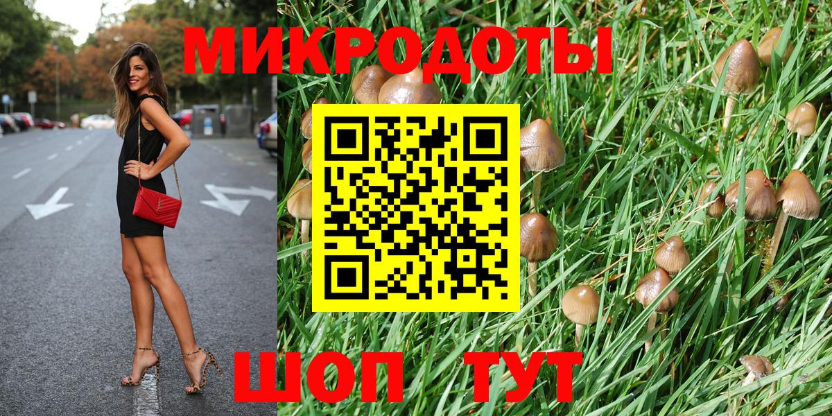Галлюциногенные грибы Psilocybine cubensis Коммунар