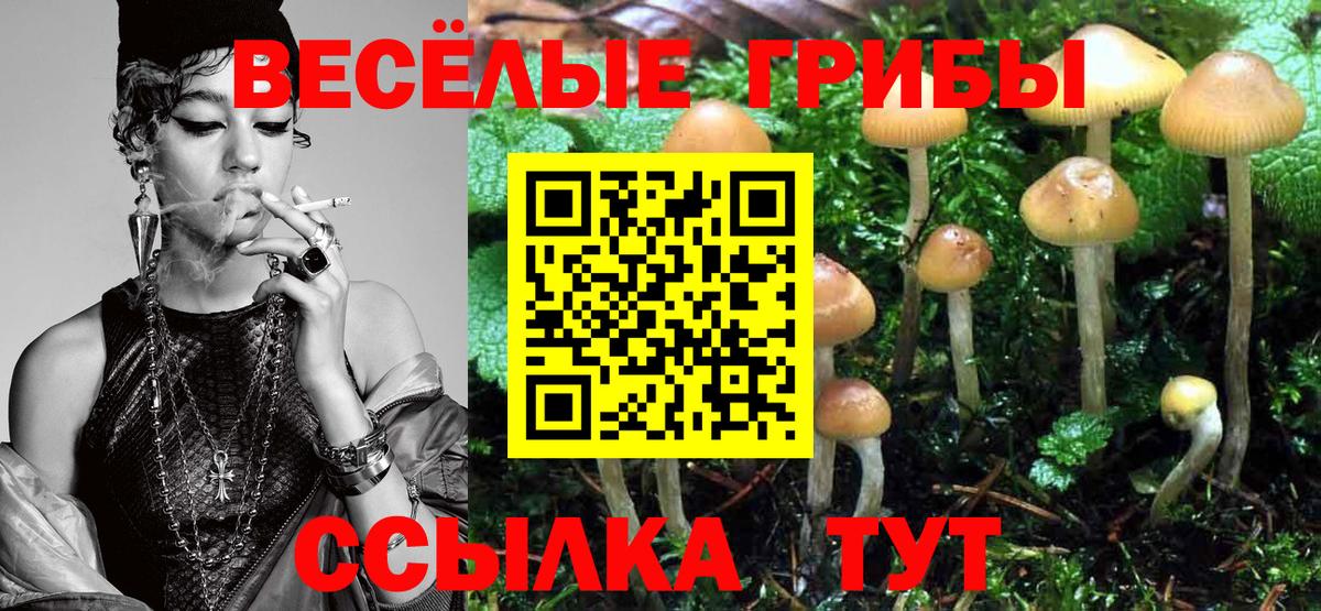 Псилоцибиновые грибы мухоморы  Вход с VPN  Псилоцибиновые грибы Magic Shrooms  Коммунар 